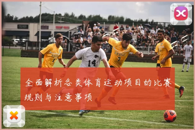 全面解析各类体育运动项目的比赛规则与注意事项