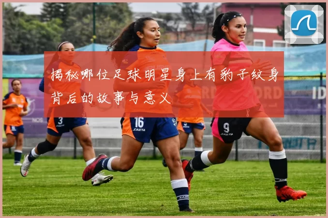 揭秘哪位足球明星身上有豹子纹身背后的故事与意义
